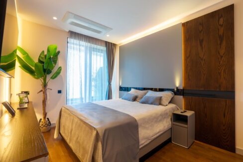 Untitled design (62)